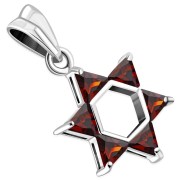 Garnet CZ Medium Star of David Pendant, p411