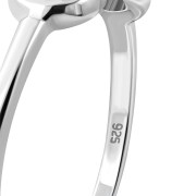 RP850 1.8 x 6.5 01.jpg