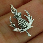 Plain Silver Thistle Pendant, pn429